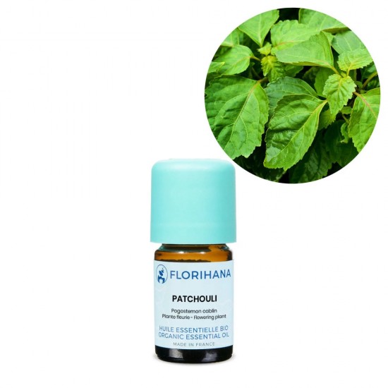 Patchouli Organic
